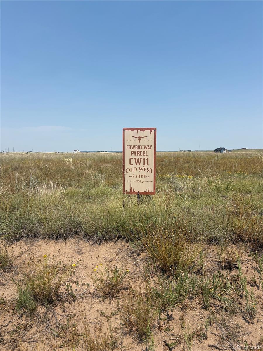 8155 Cowboy Ranch View Peyton CO 80831