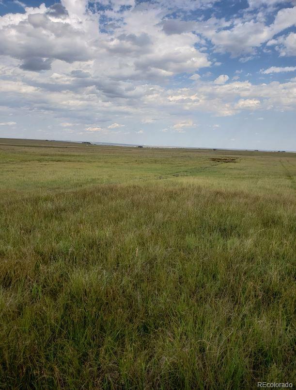 8155 Cowboy Ranch View Peyton CO 80831