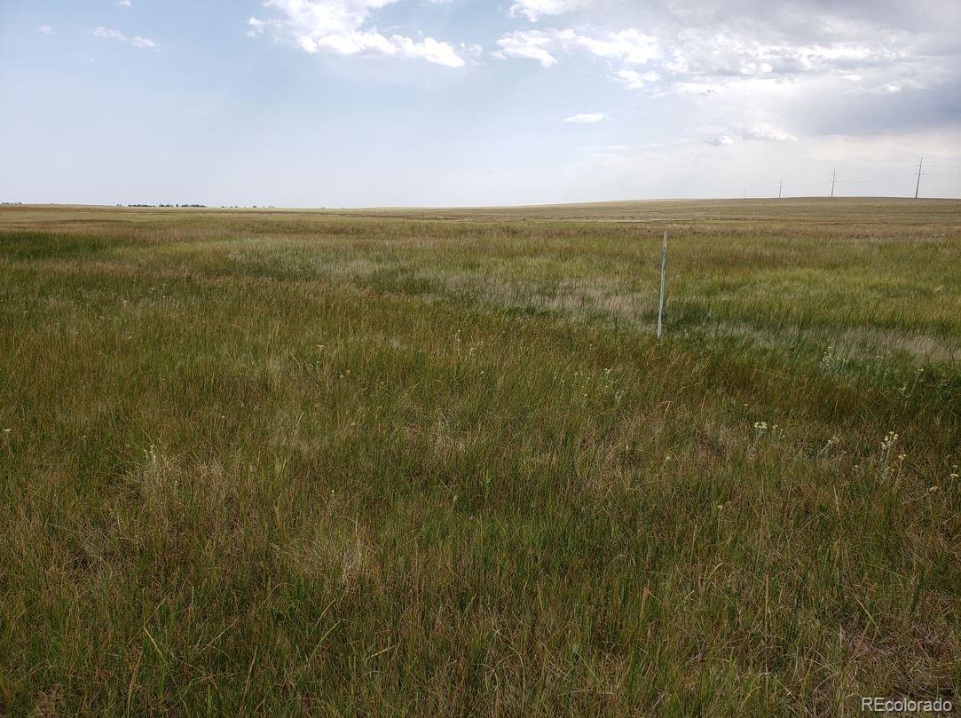 8155 Cowboy Ranch View Peyton CO 80831