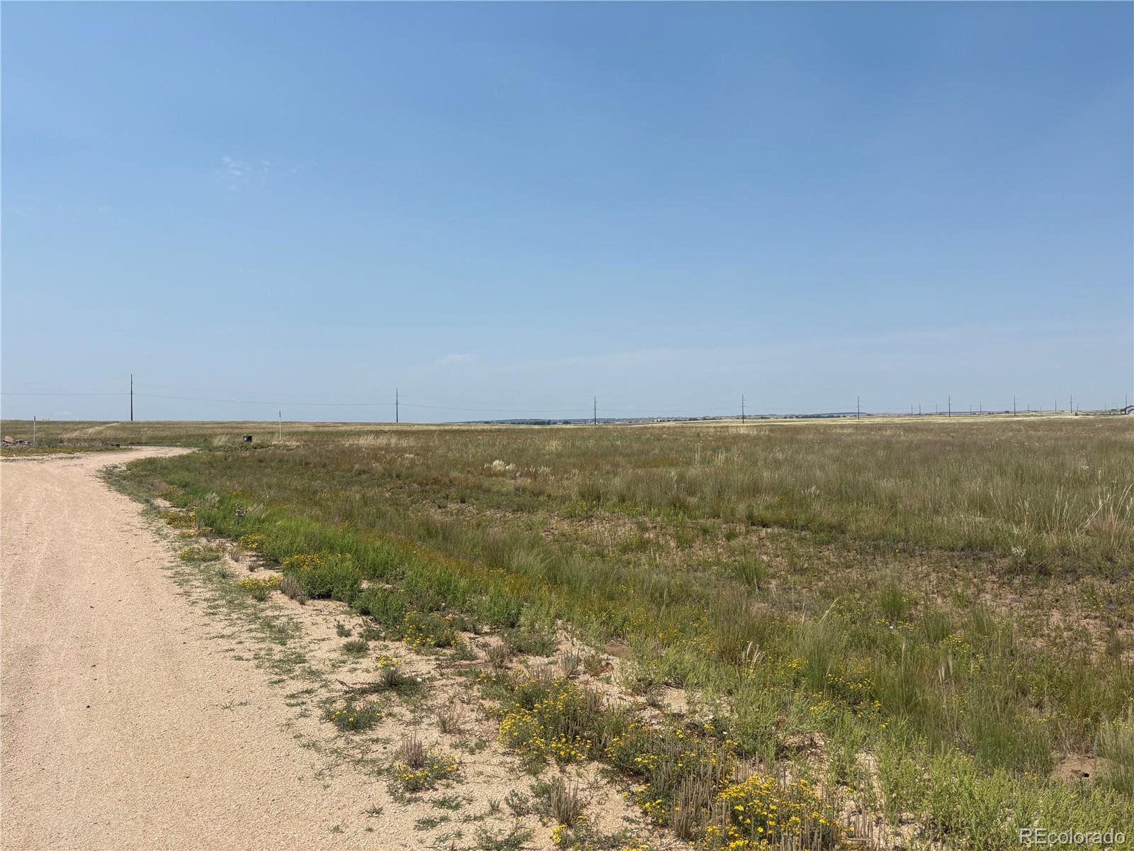 8155 Cowboy Ranch View Peyton CO 80831
