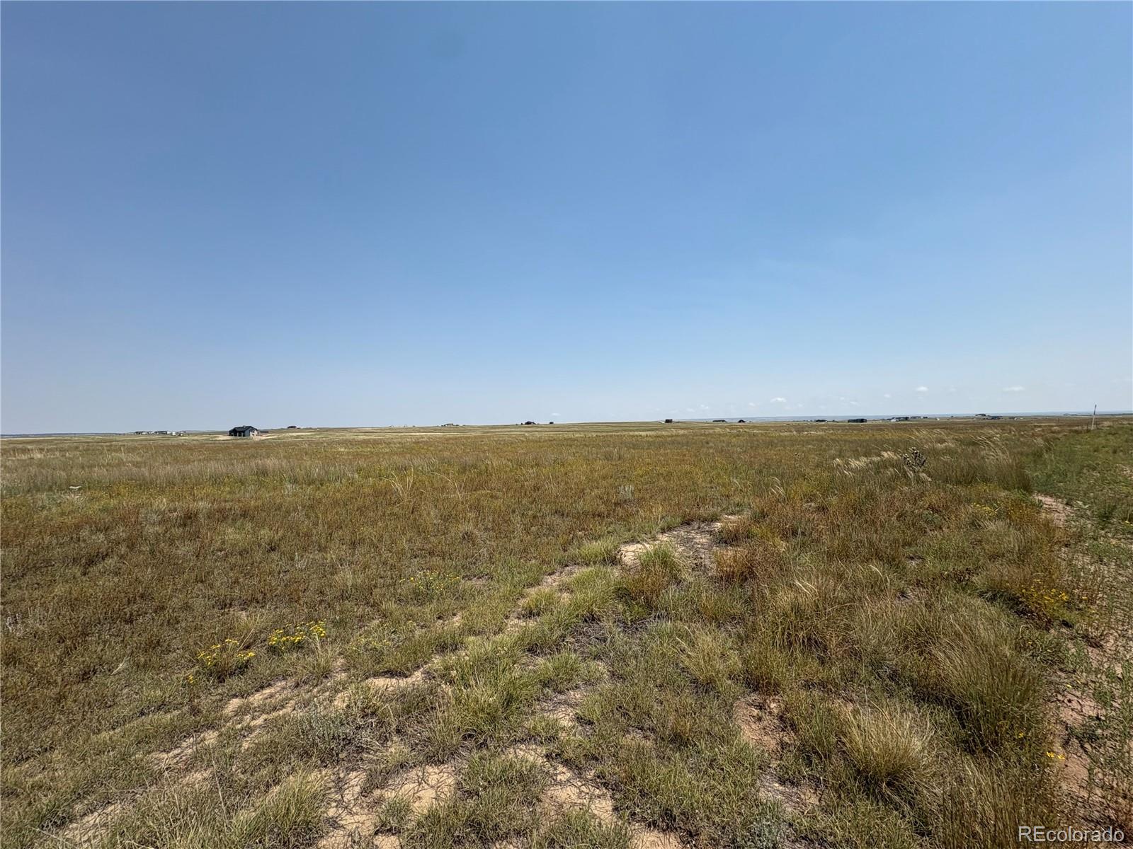 8155 Cowboy Ranch View Peyton CO 80831