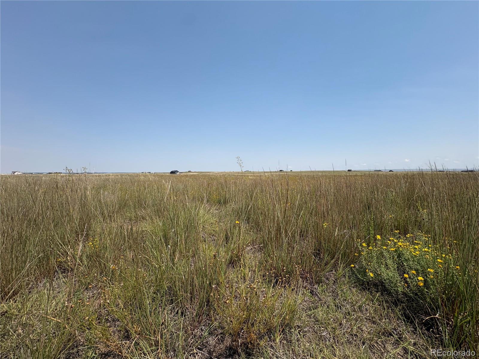 8155 Cowboy Ranch View Peyton CO 80831