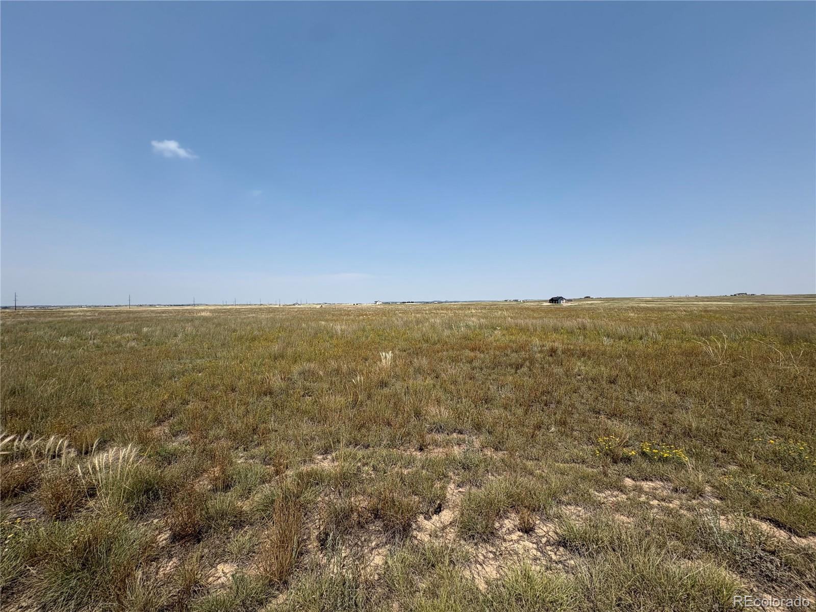 8155 Cowboy Ranch View Peyton CO 80831