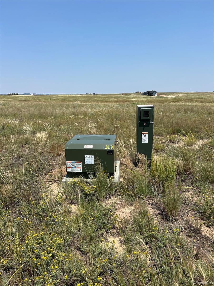 8155 Cowboy Ranch View Peyton CO 80831