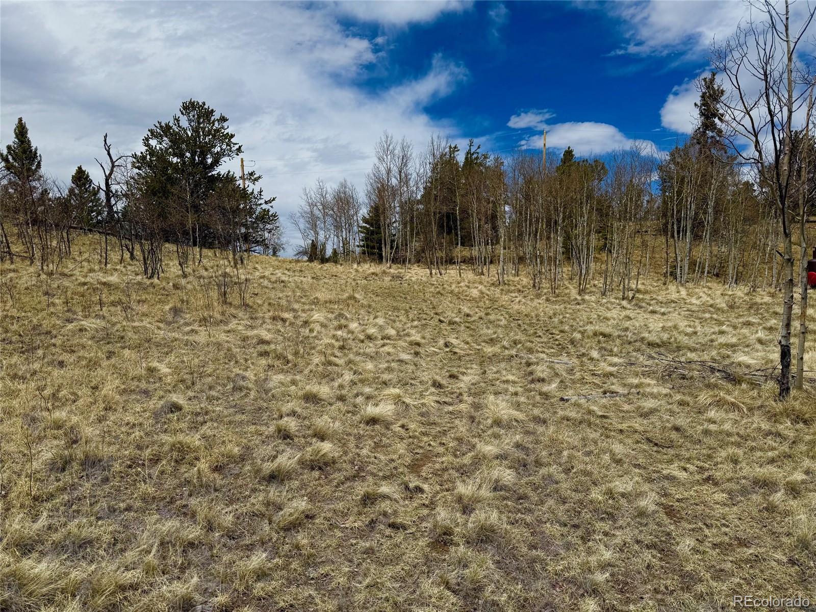 735 Quiver Road Jefferson CO 80456