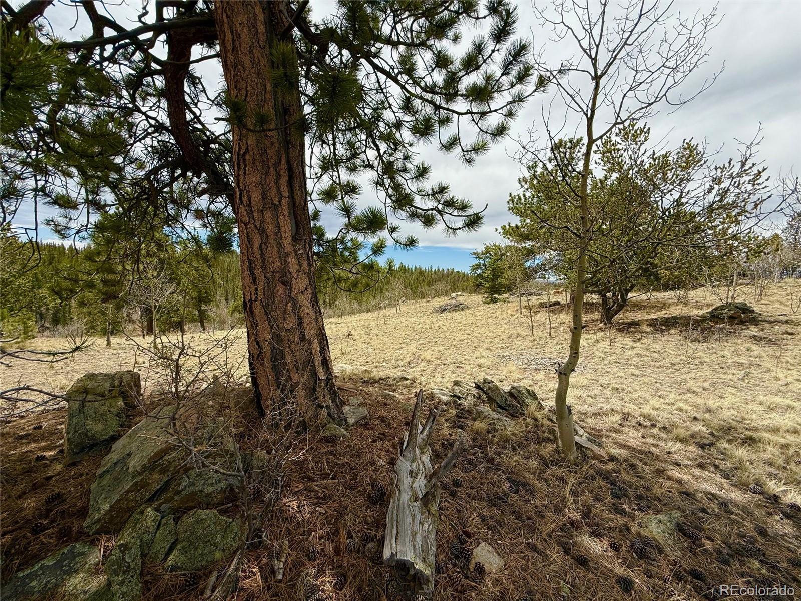 735 Quiver Road Jefferson CO 80456