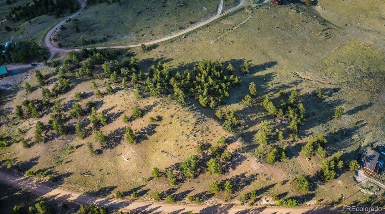 1300 Bridle Path Hartsel CO 80449