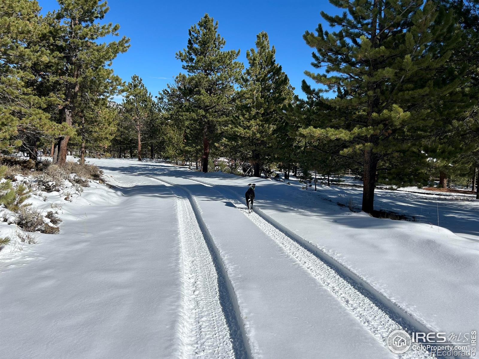 416 Comanche Circle Red Feather Lakes CO 80545