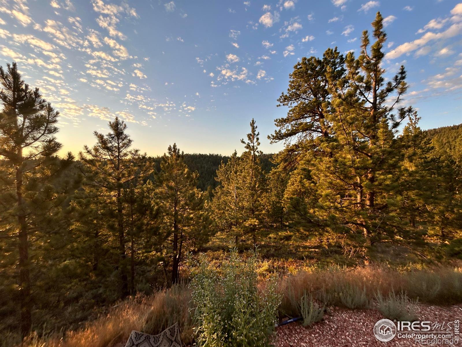 416 Comanche Circle Red Feather Lakes CO 80545