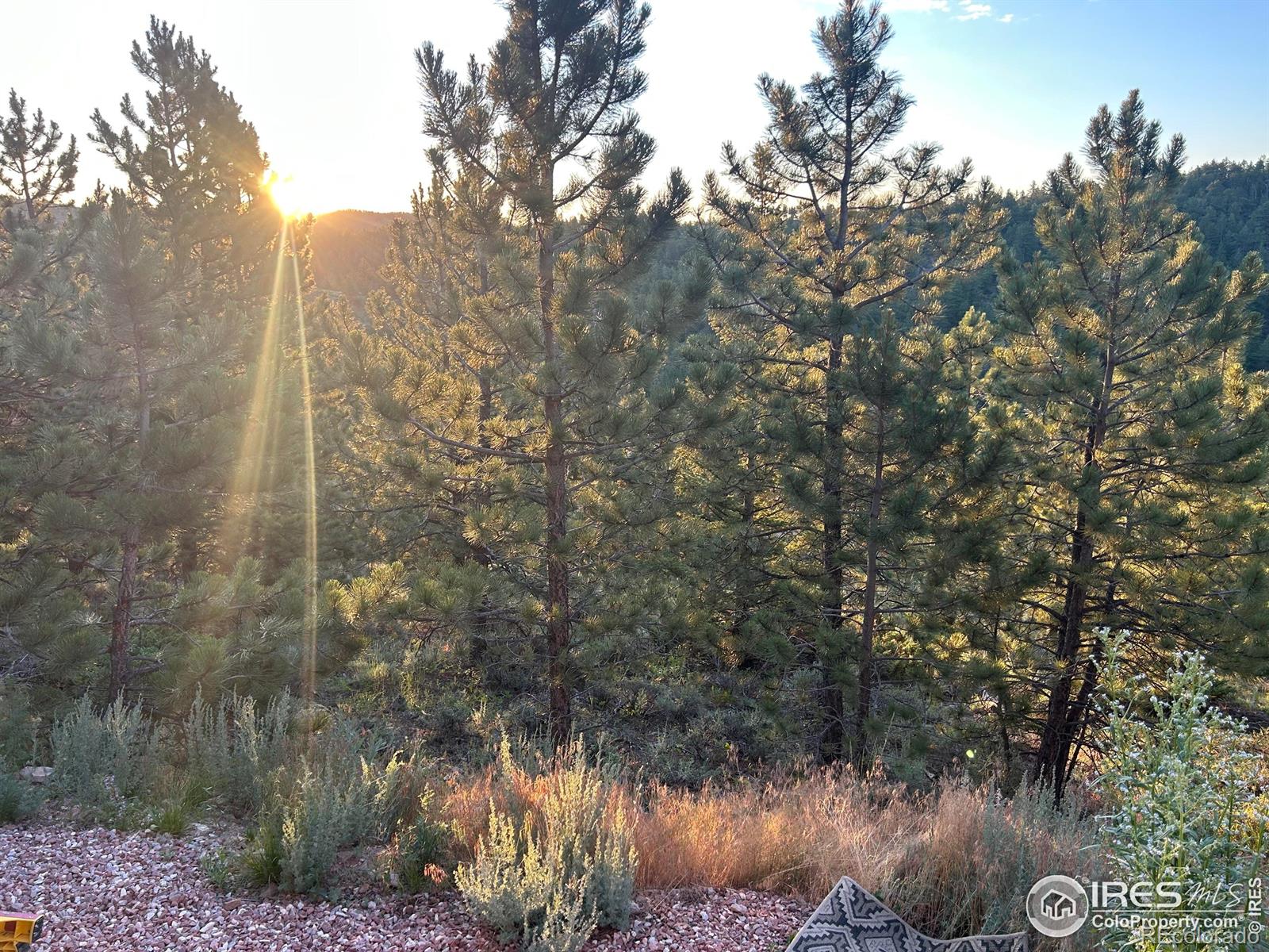416 Comanche Circle Red Feather Lakes CO 80545