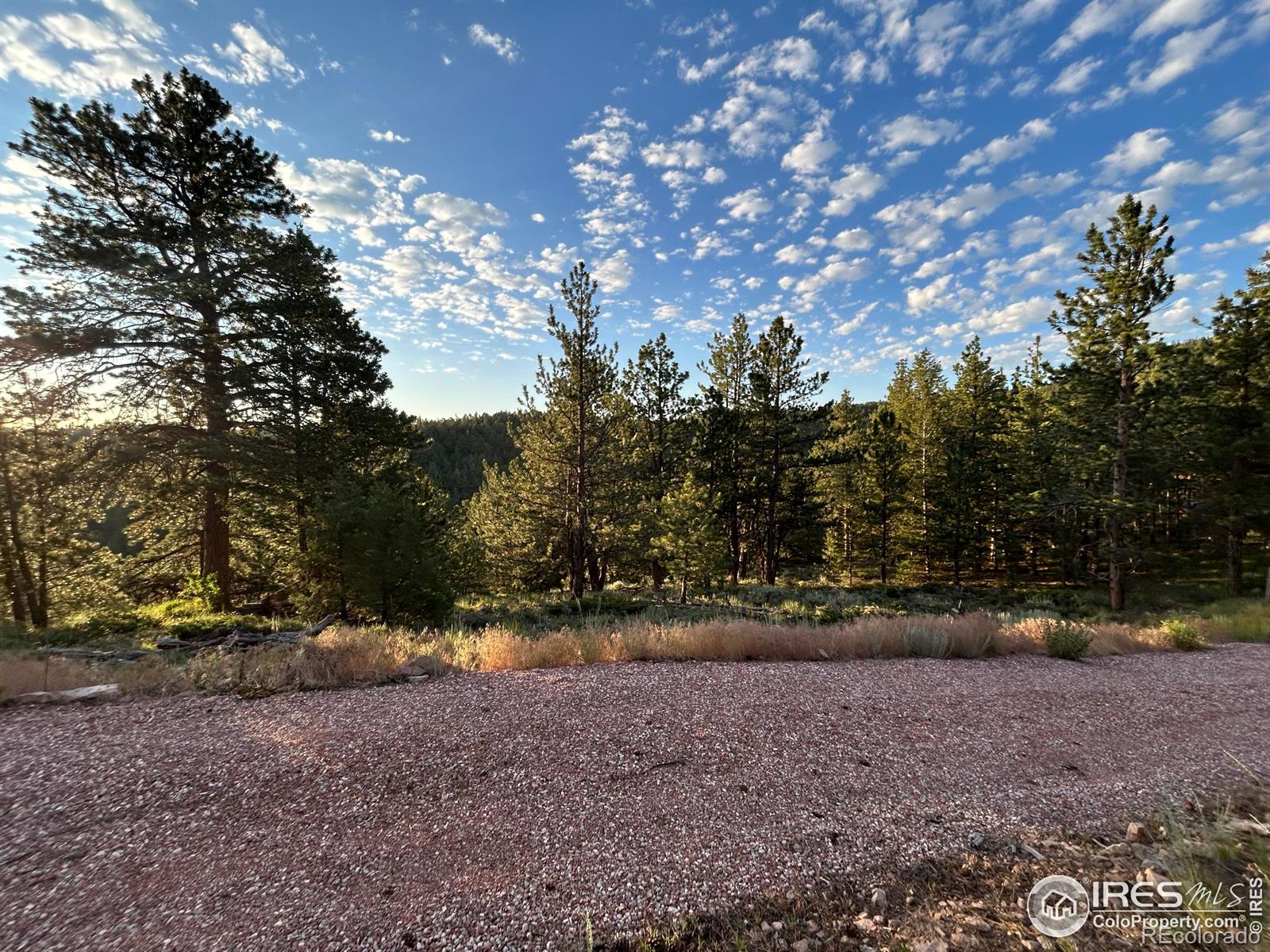 416 Comanche Circle Red Feather Lakes CO 80545