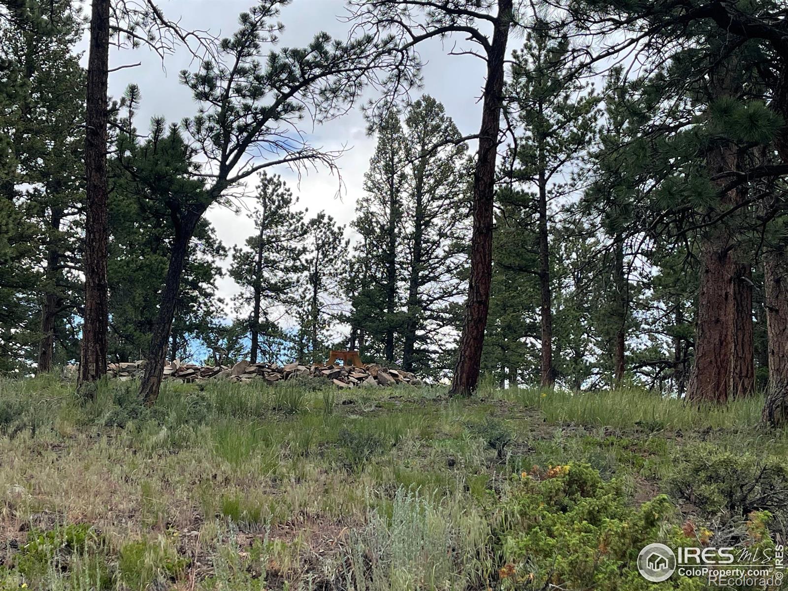 416 Comanche Circle Red Feather Lakes CO 80545