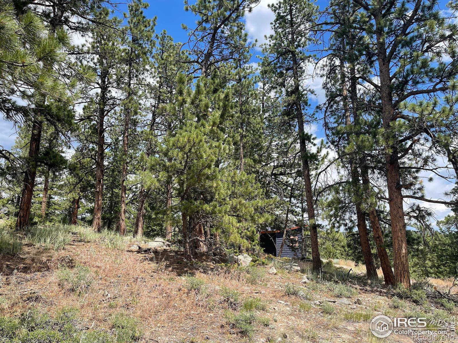 416 Comanche Circle Red Feather Lakes CO 80545
