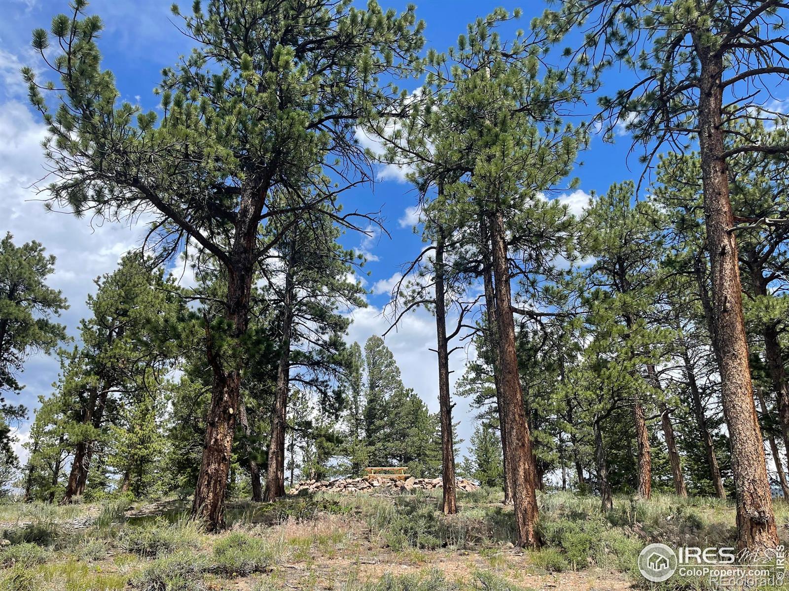 416 Comanche Circle Red Feather Lakes CO 80545