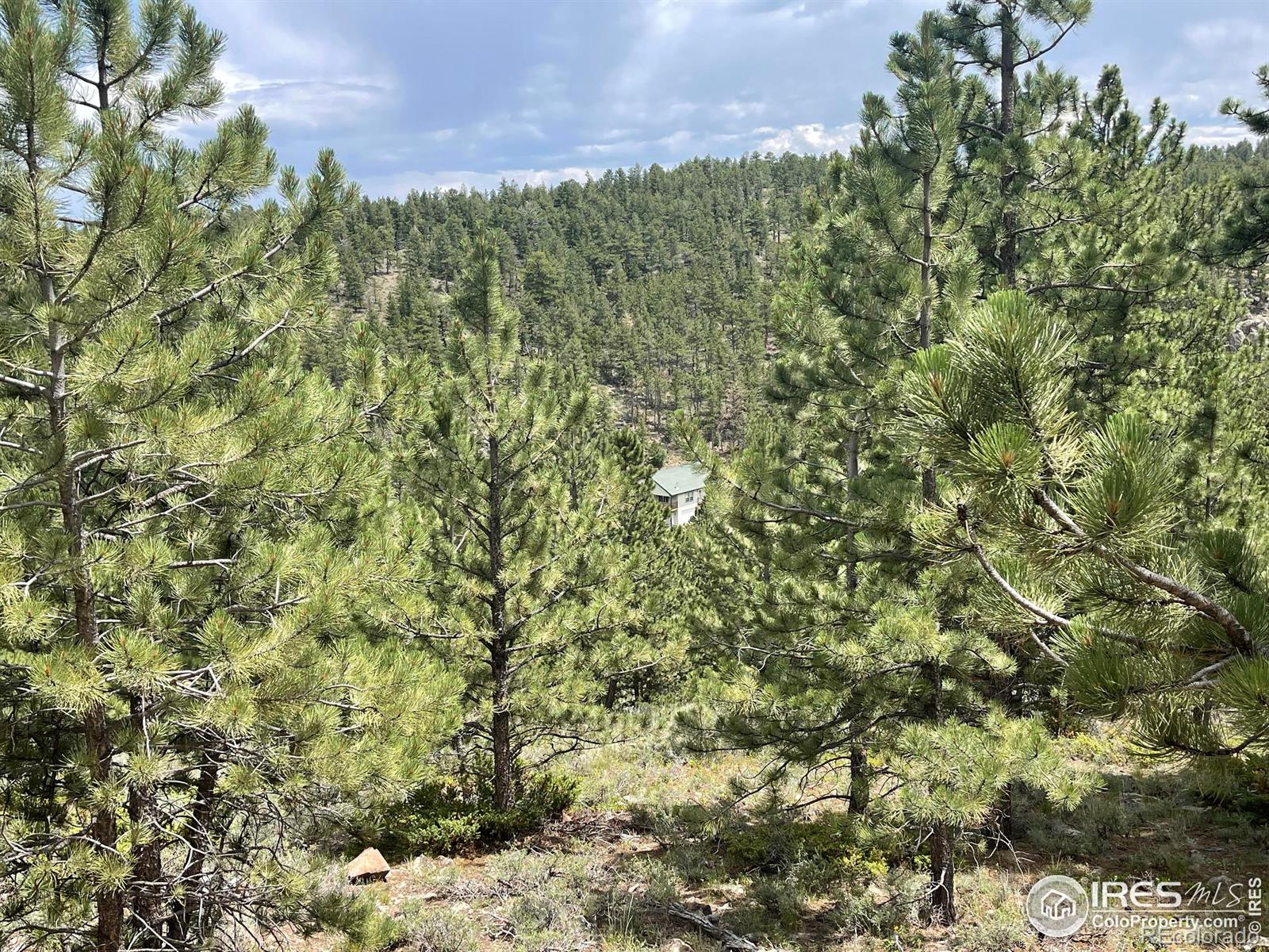 416 Comanche Circle Red Feather Lakes CO 80545