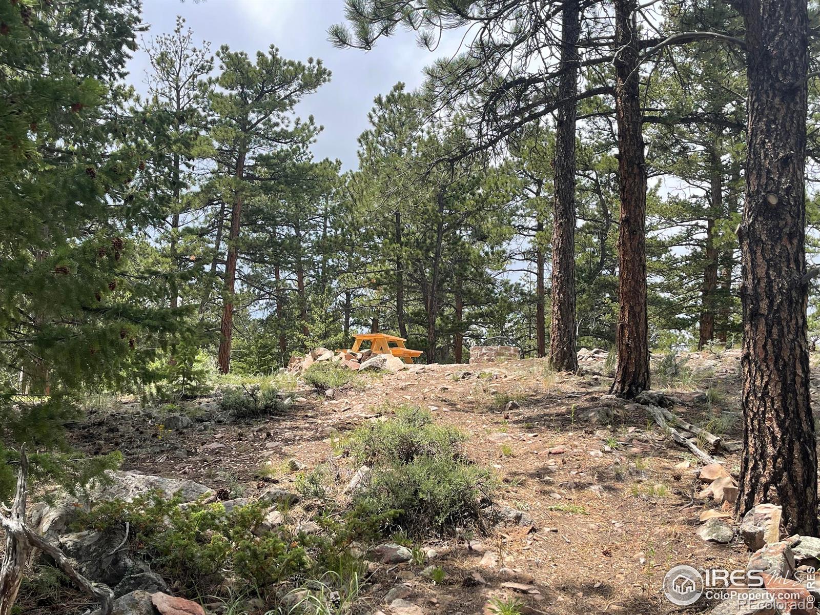 416 Comanche Circle Red Feather Lakes CO 80545