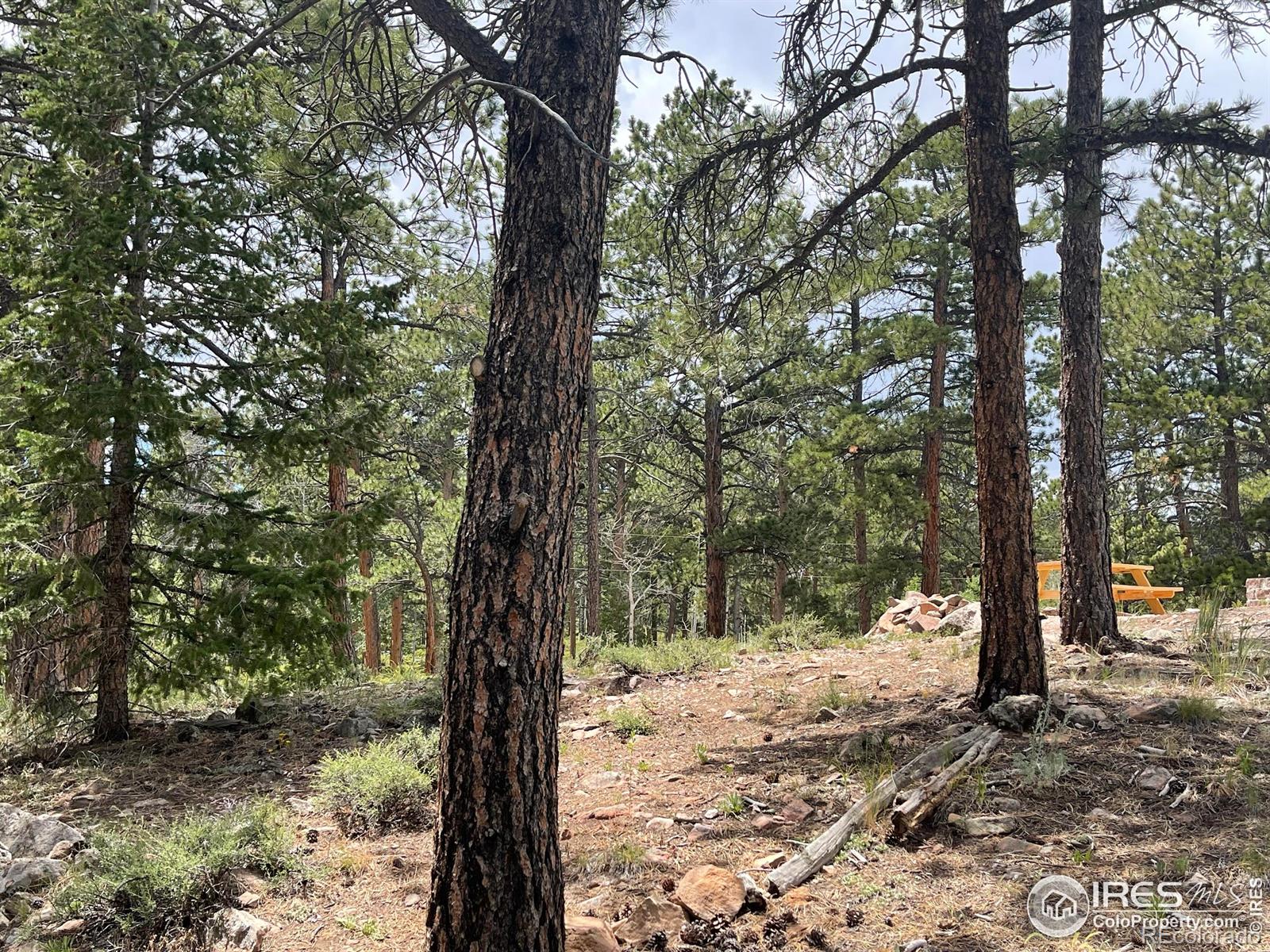 416 Comanche Circle Red Feather Lakes CO 80545