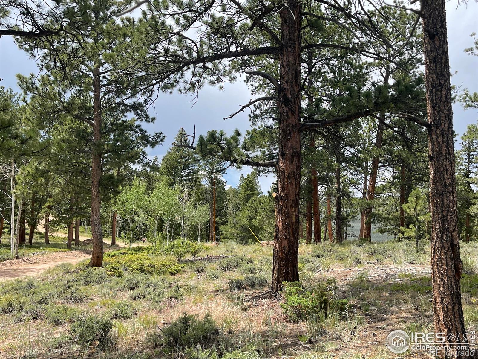 416 Comanche Circle Red Feather Lakes CO 80545