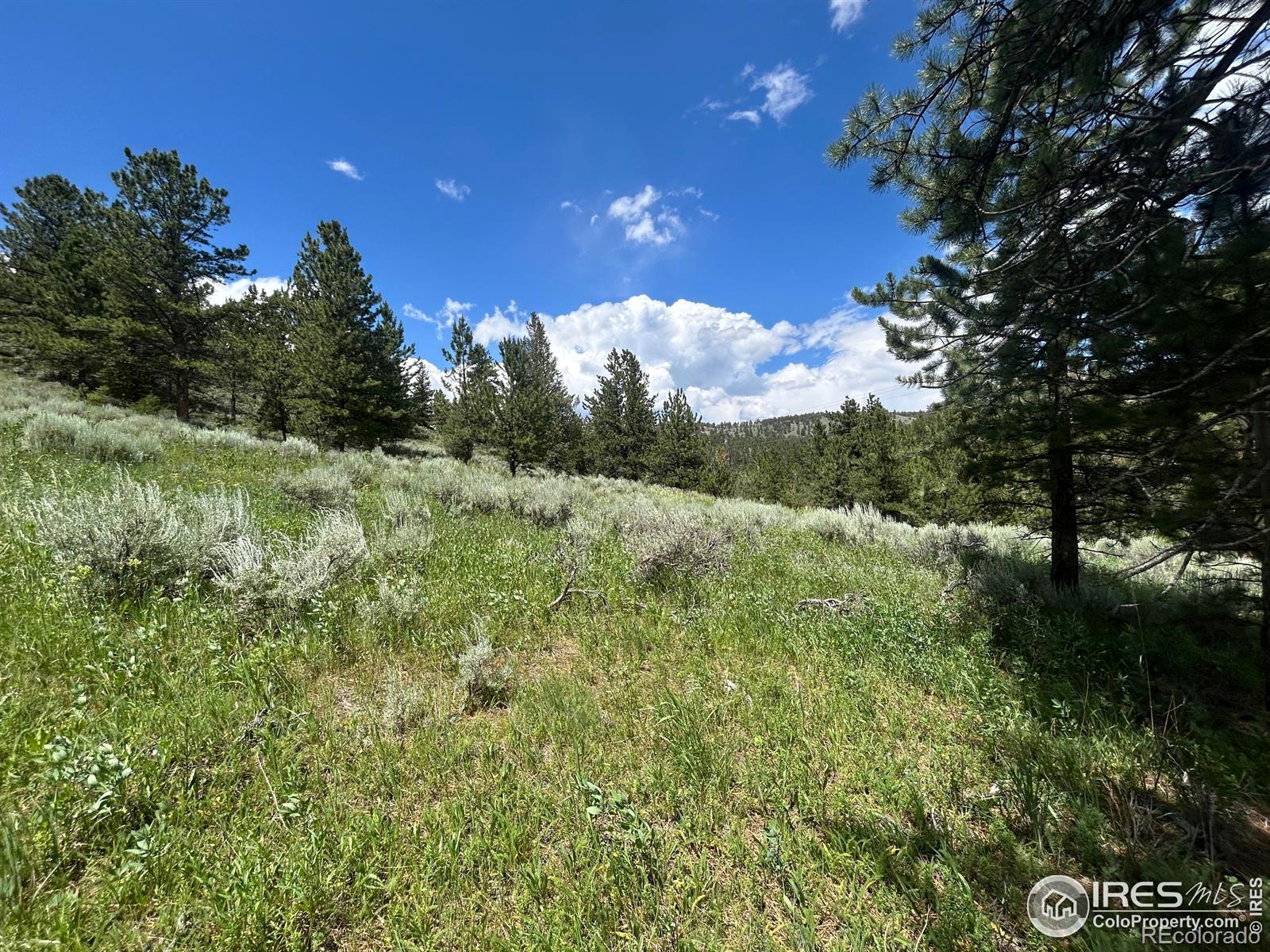 416 Comanche Circle Red Feather Lakes CO 80545
