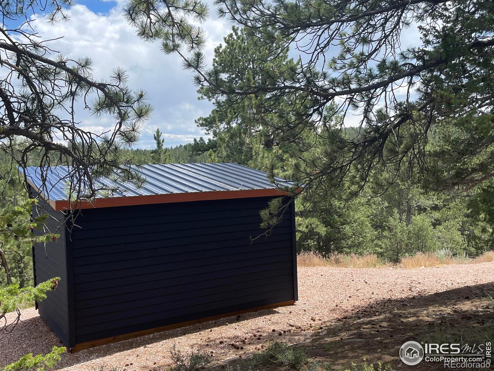 416 Comanche Circle Red Feather Lakes CO 80545