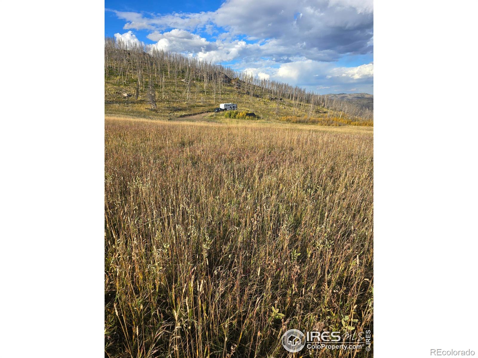 75 Sheep Horn Court Bellvue CO 80512
