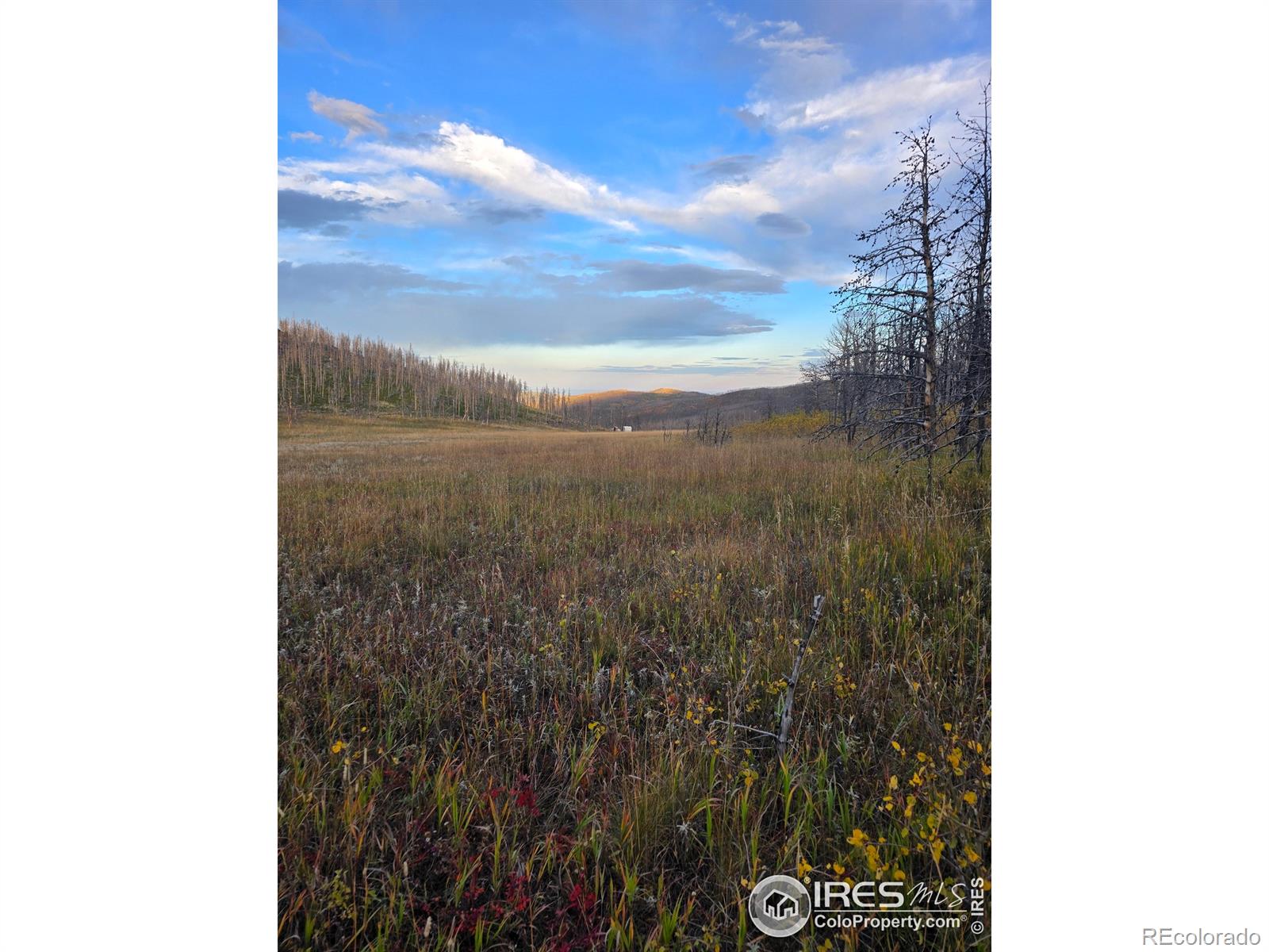 75 Sheep Horn Court Bellvue CO 80512