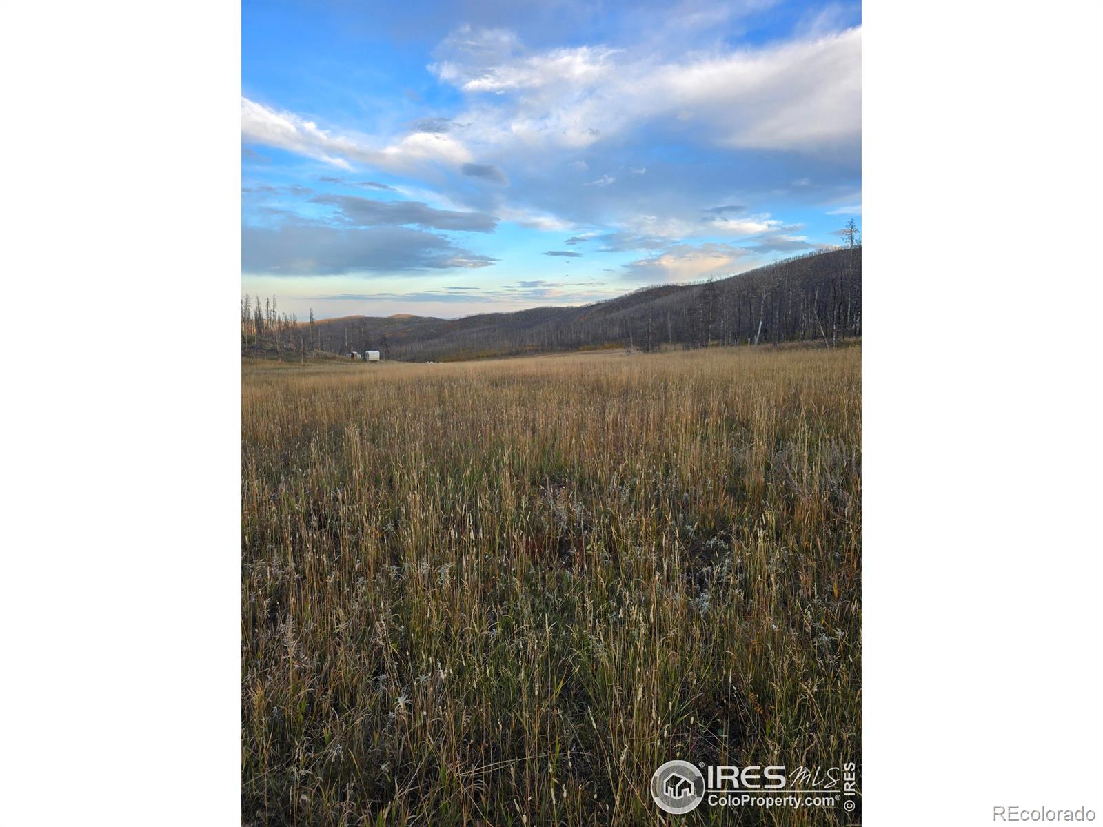 75 Sheep Horn Court Bellvue CO 80512
