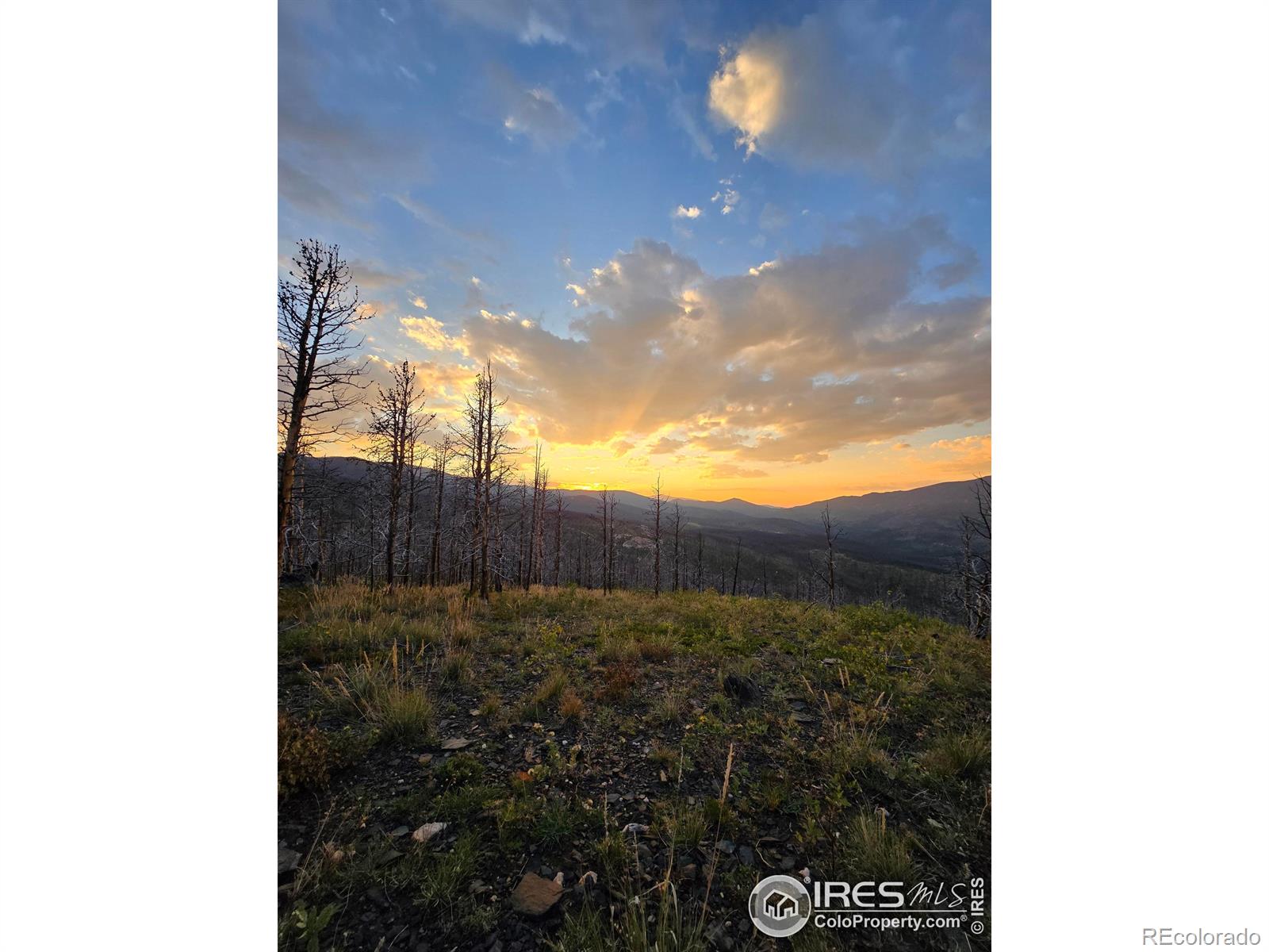 75 Sheep Horn Court Bellvue CO 80512