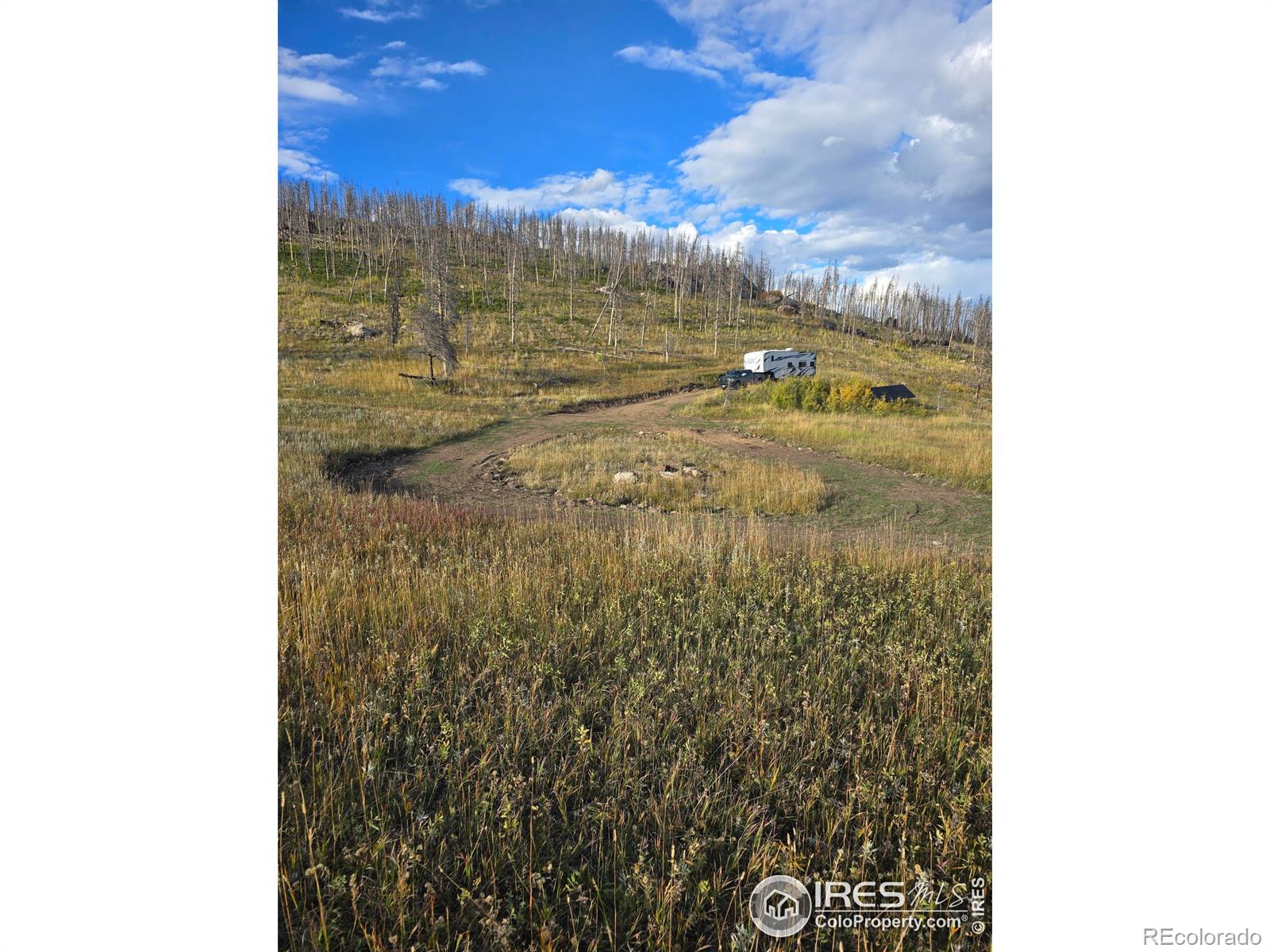 75 Sheep Horn Court Bellvue CO 80512