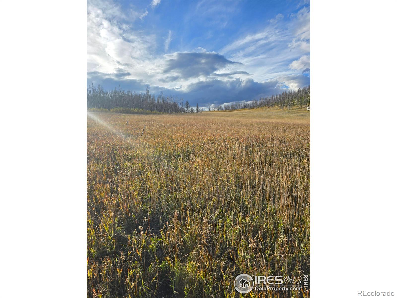 75 Sheep Horn Court Bellvue CO 80512