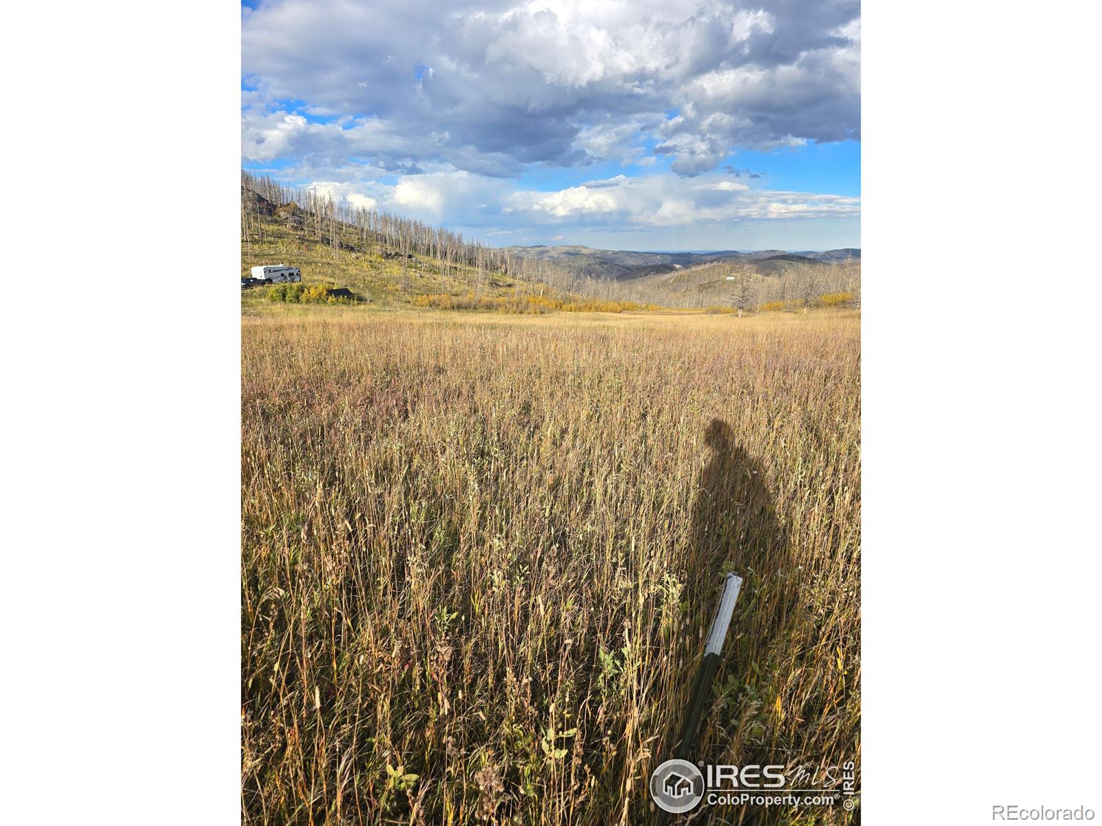 75 Sheep Horn Court Bellvue CO 80512