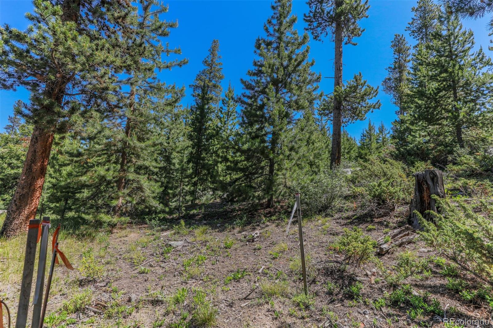 493 County Road 4632 Grand Lake CO 80447