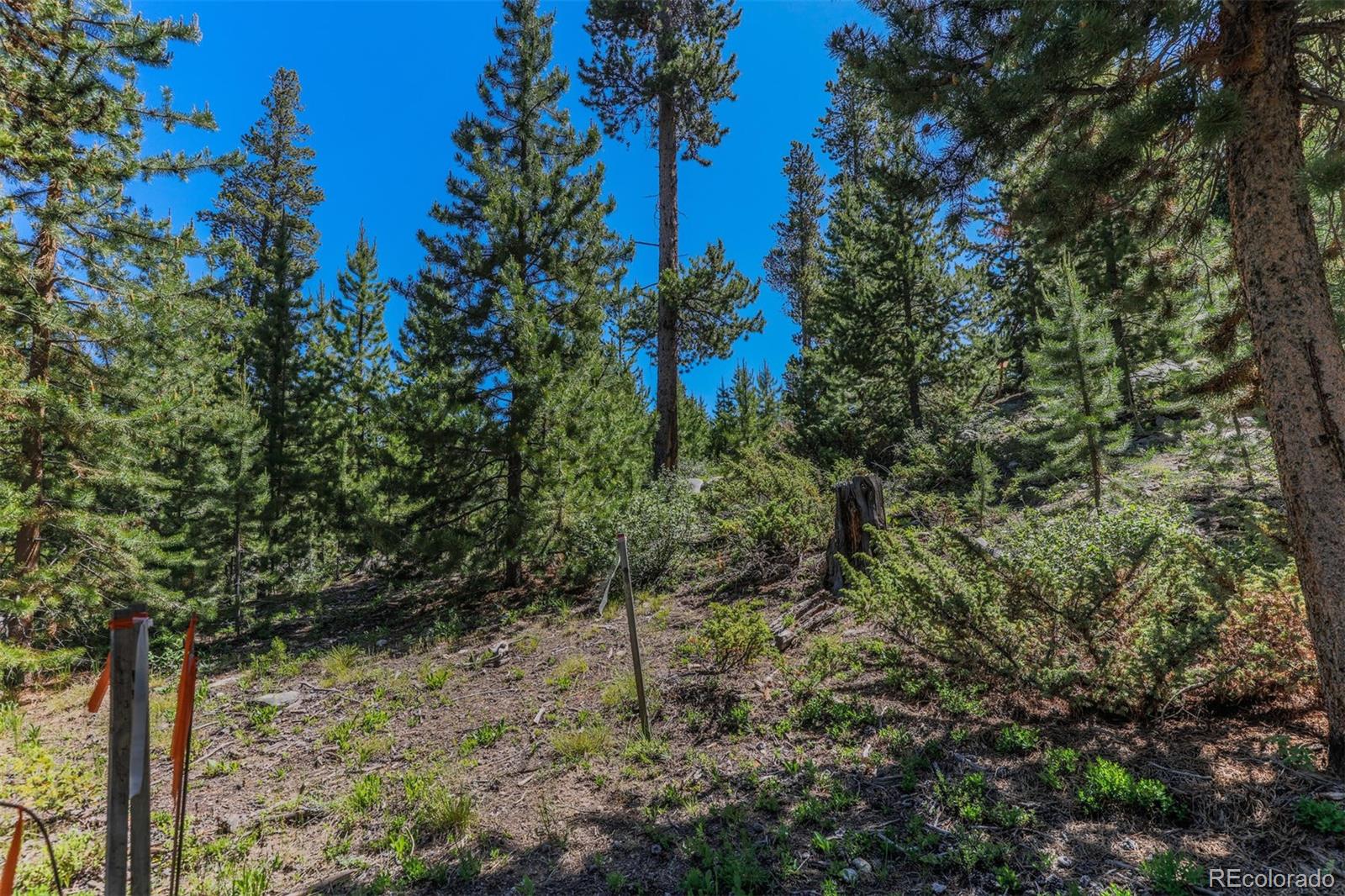 493 County Road 4632 Grand Lake CO 80447