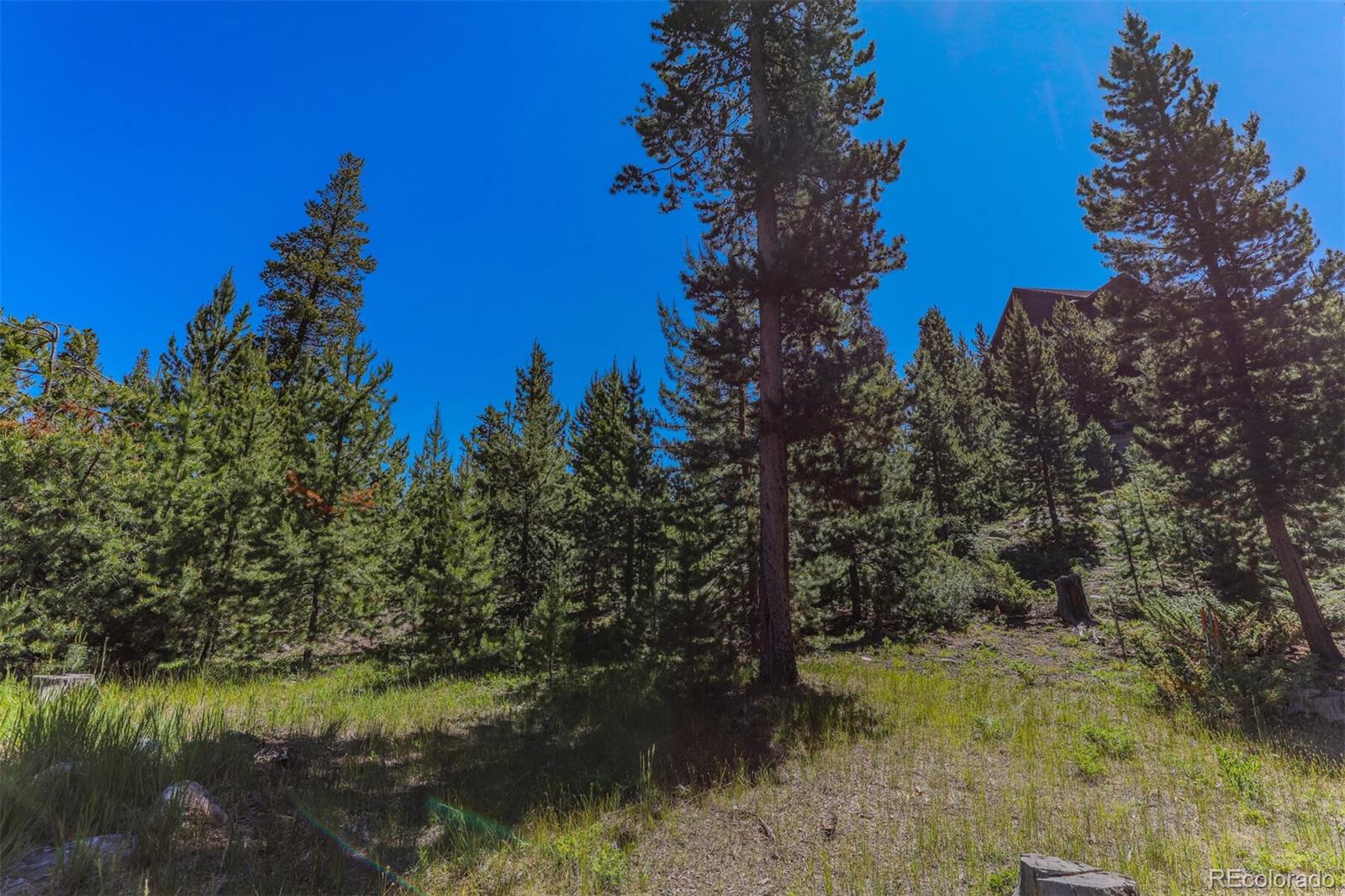 493 County Road 4632 Grand Lake CO 80447