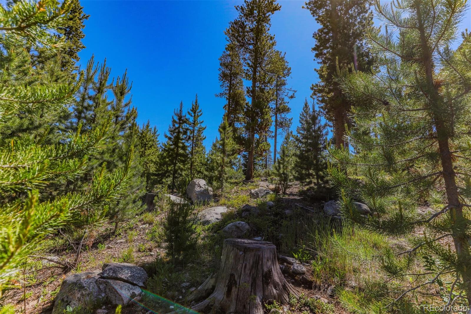 493 County Road 4632 Grand Lake CO 80447