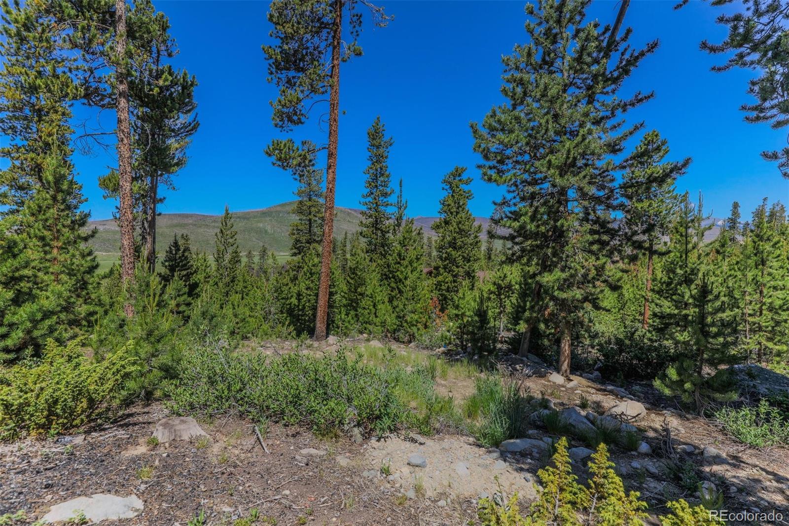493 County Road 4632 Grand Lake CO 80447