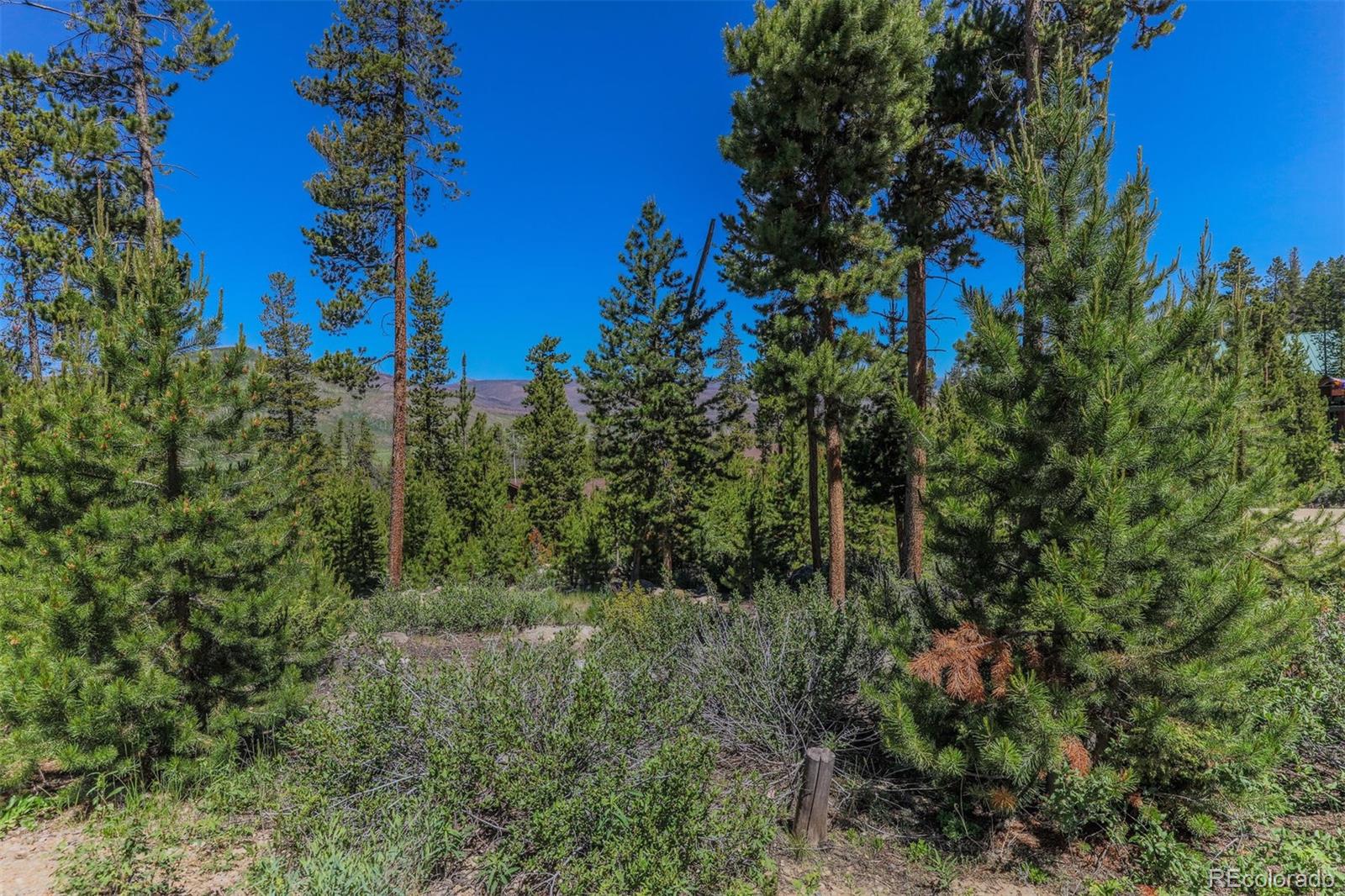 493 County Road 4632 Grand Lake CO 80447