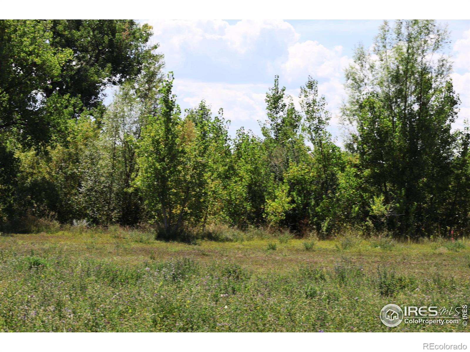 1796 Serene Place Berthoud CO 80513
