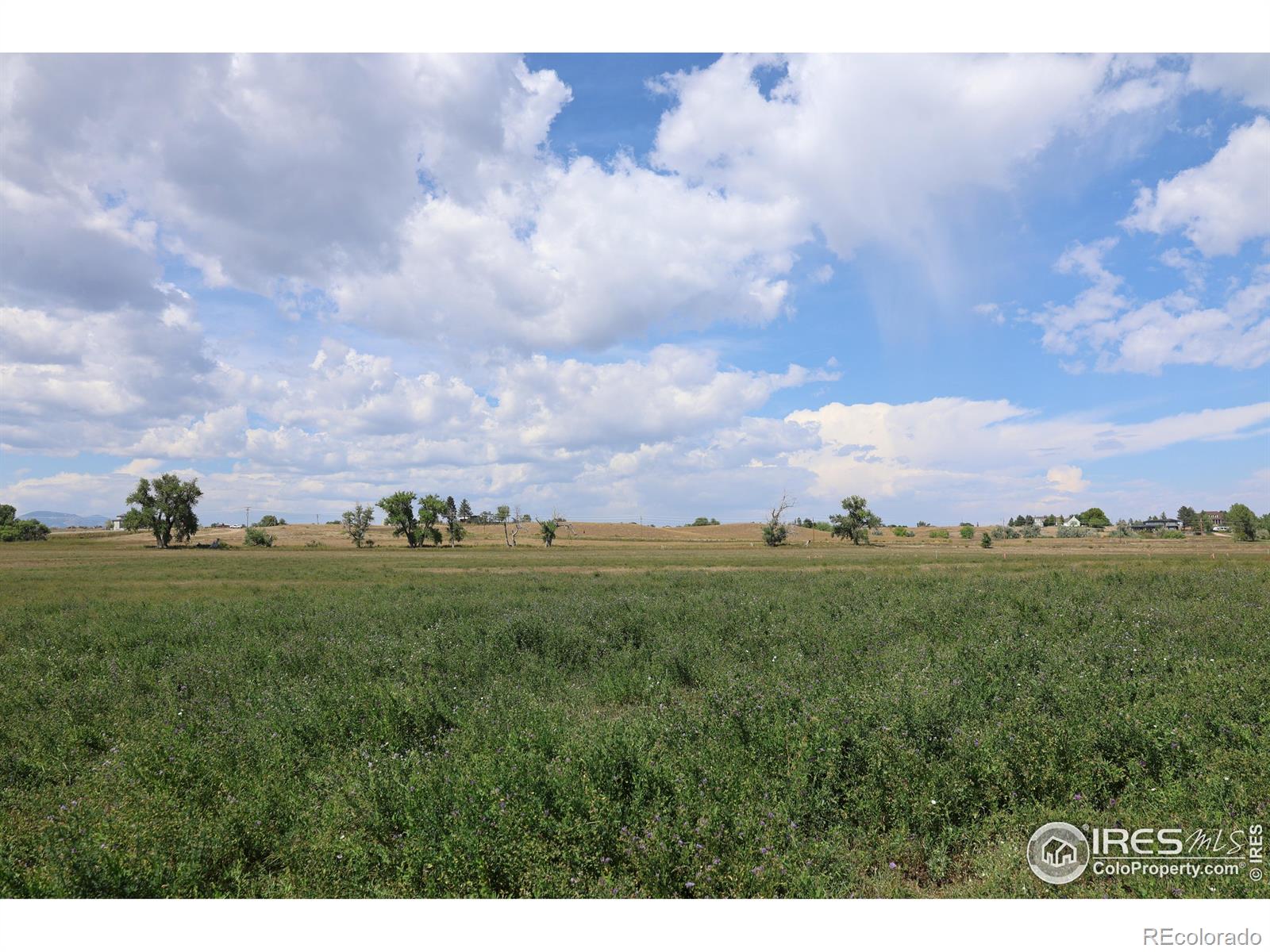 1796 Serene Place Berthoud CO 80513