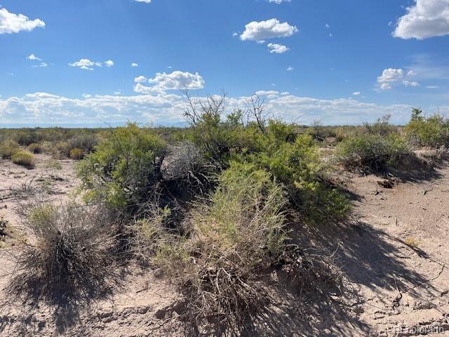 Lot 15 Co Road 9 Alamosa CO 81101