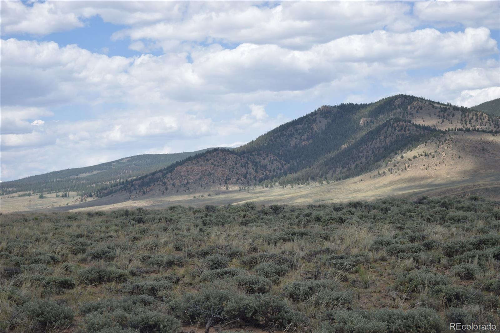 1501 County Road 30,lost Canyon Road Twin Lakes CO 81251