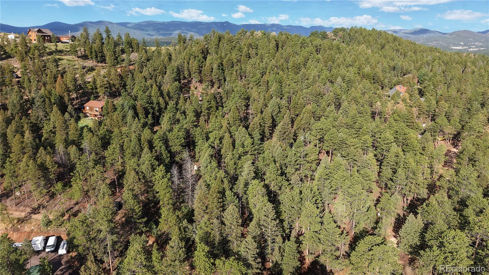 33476 La Plata Lane Pine CO 80470