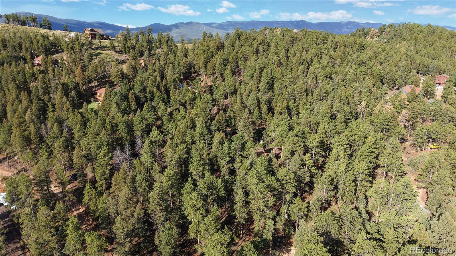 33476 La Plata Lane Pine CO 80470