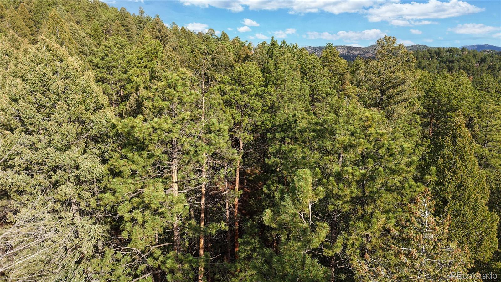 33476 La Plata Lane Pine CO 80470