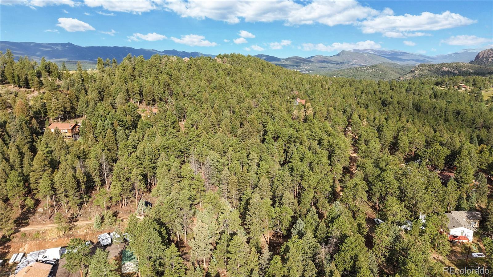 33476 La Plata Lane Pine CO 80470