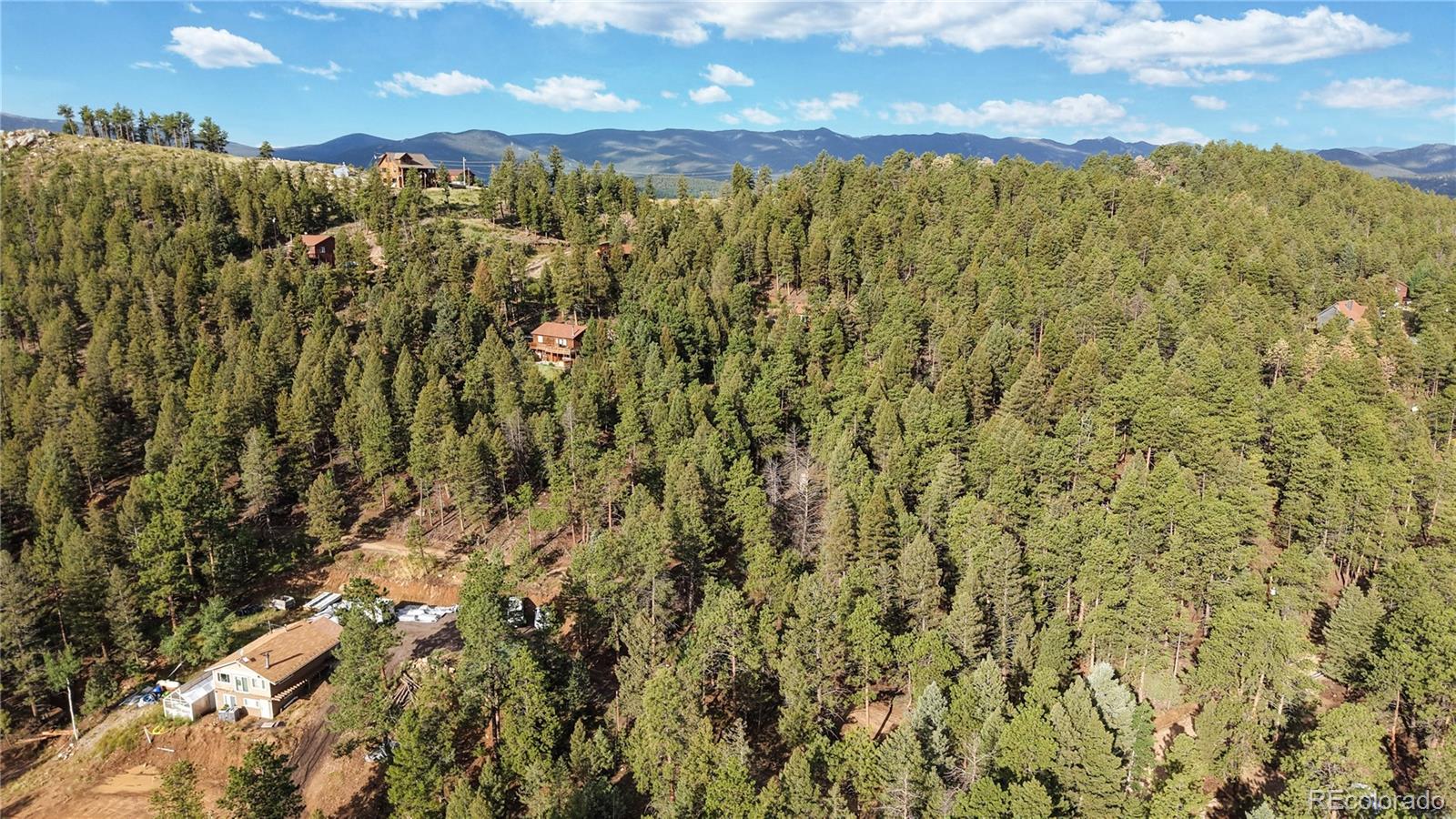 33476 La Plata Lane Pine CO 80470