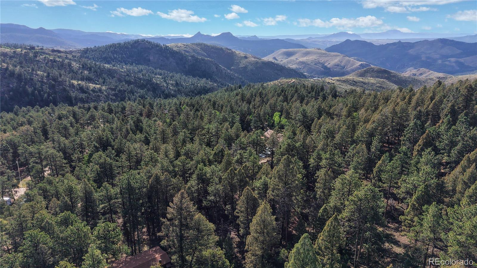 33476 La Plata Lane Pine CO 80470