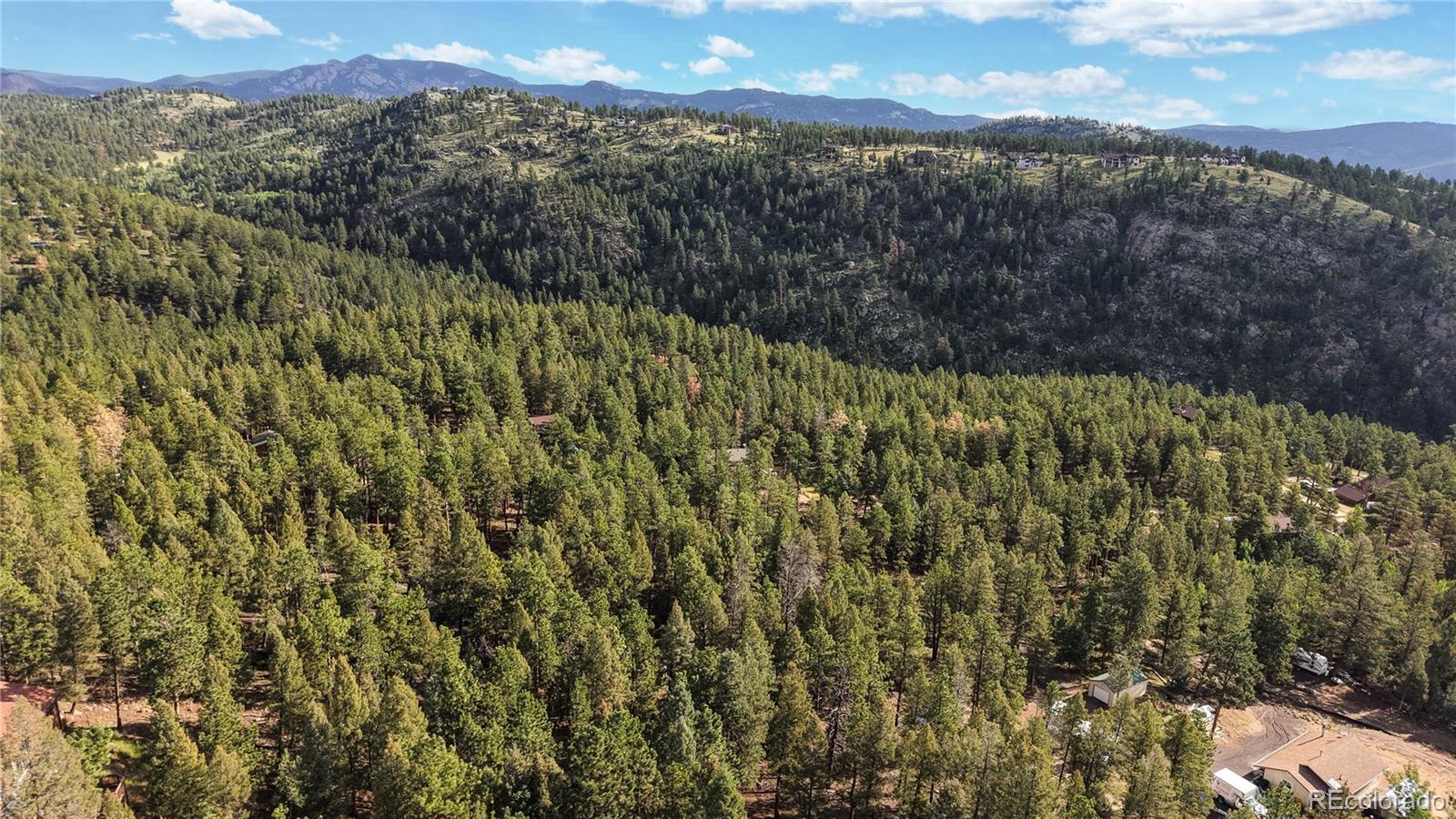33476 La Plata Lane Pine CO 80470