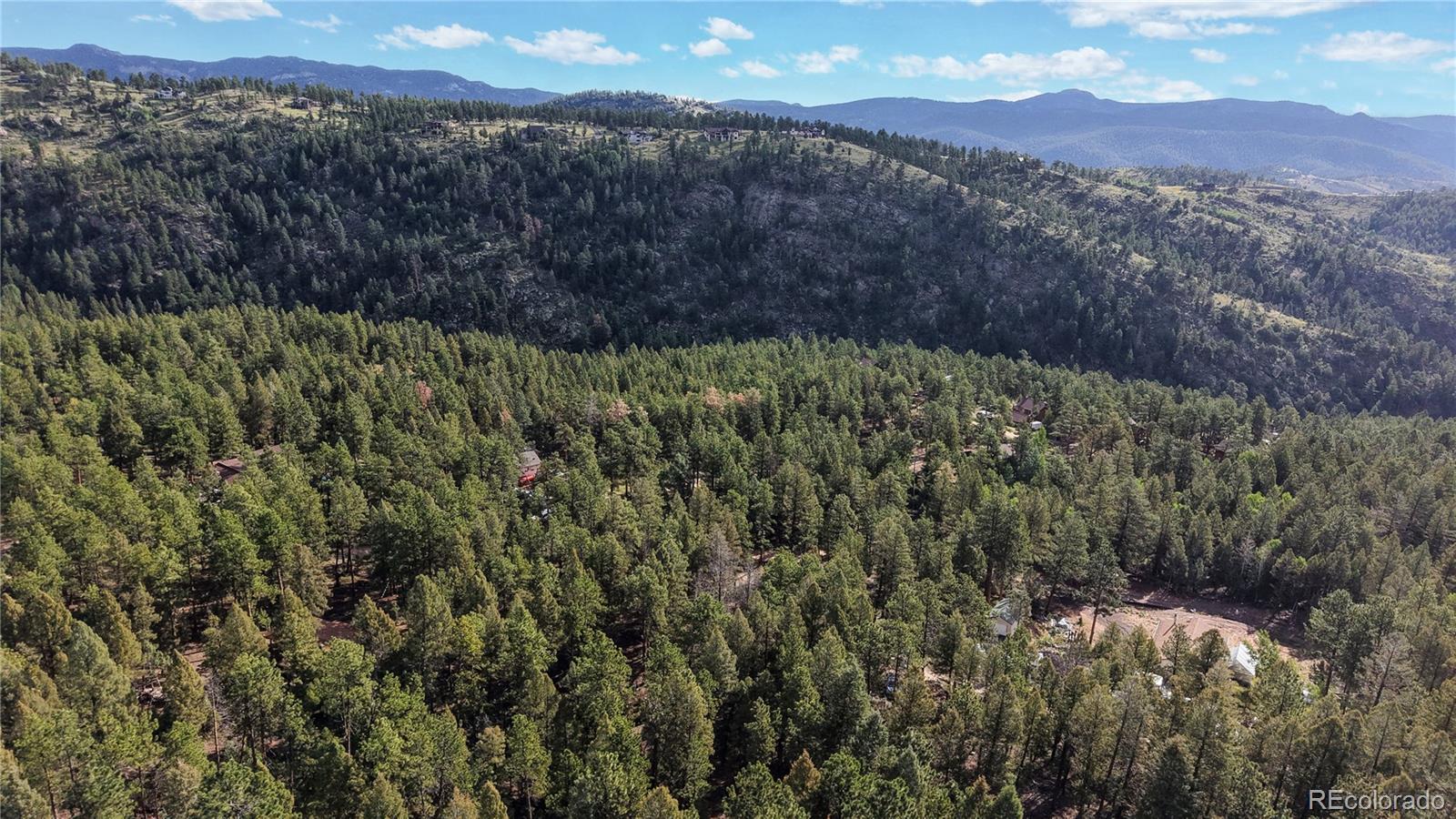 33476 La Plata Lane Pine CO 80470
