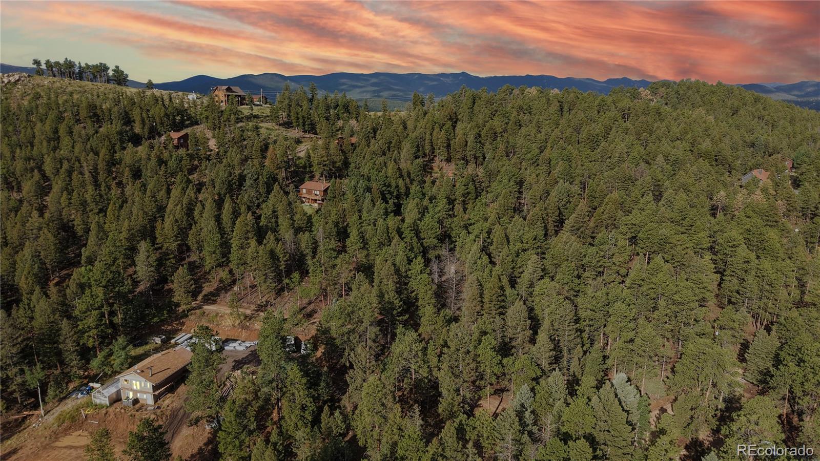 33476 La Plata Lane Pine CO 80470